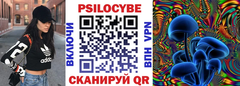 omg ССЫЛКА  Циолковский  Галлюциногенные грибы Cubensis 