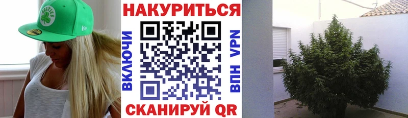 Шишки марихуана сатива  Циолковский 